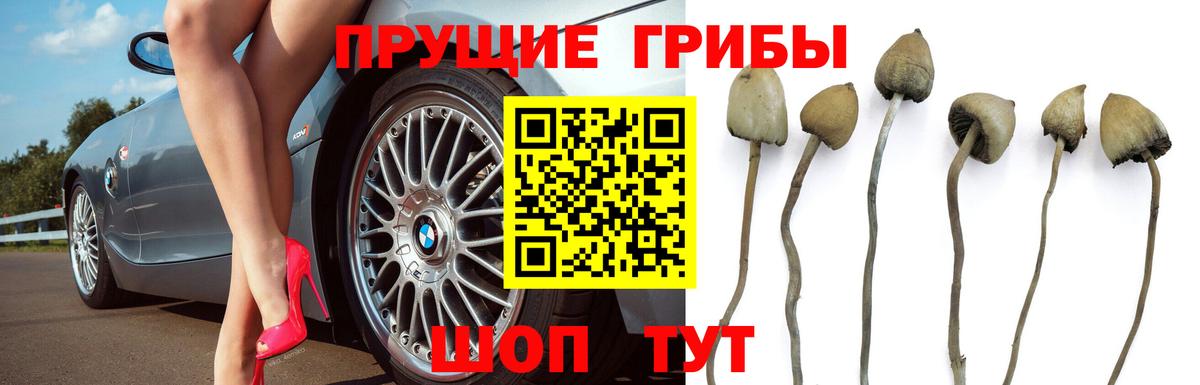 Галлюциногенные грибы мухоморы  Вход с VPN  продажа наркотиков  Вятские Поляны 